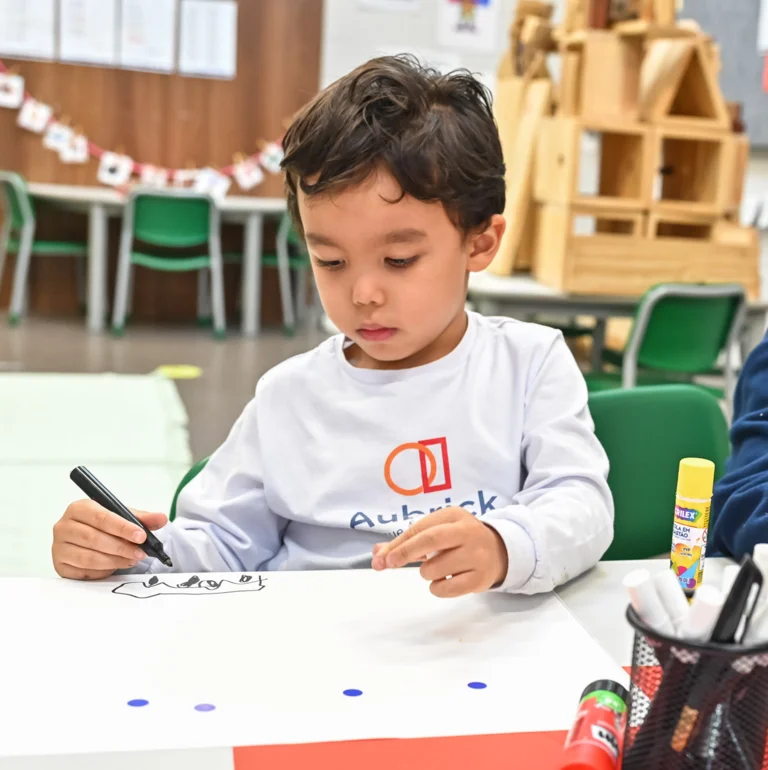 Desempenho acadêmico