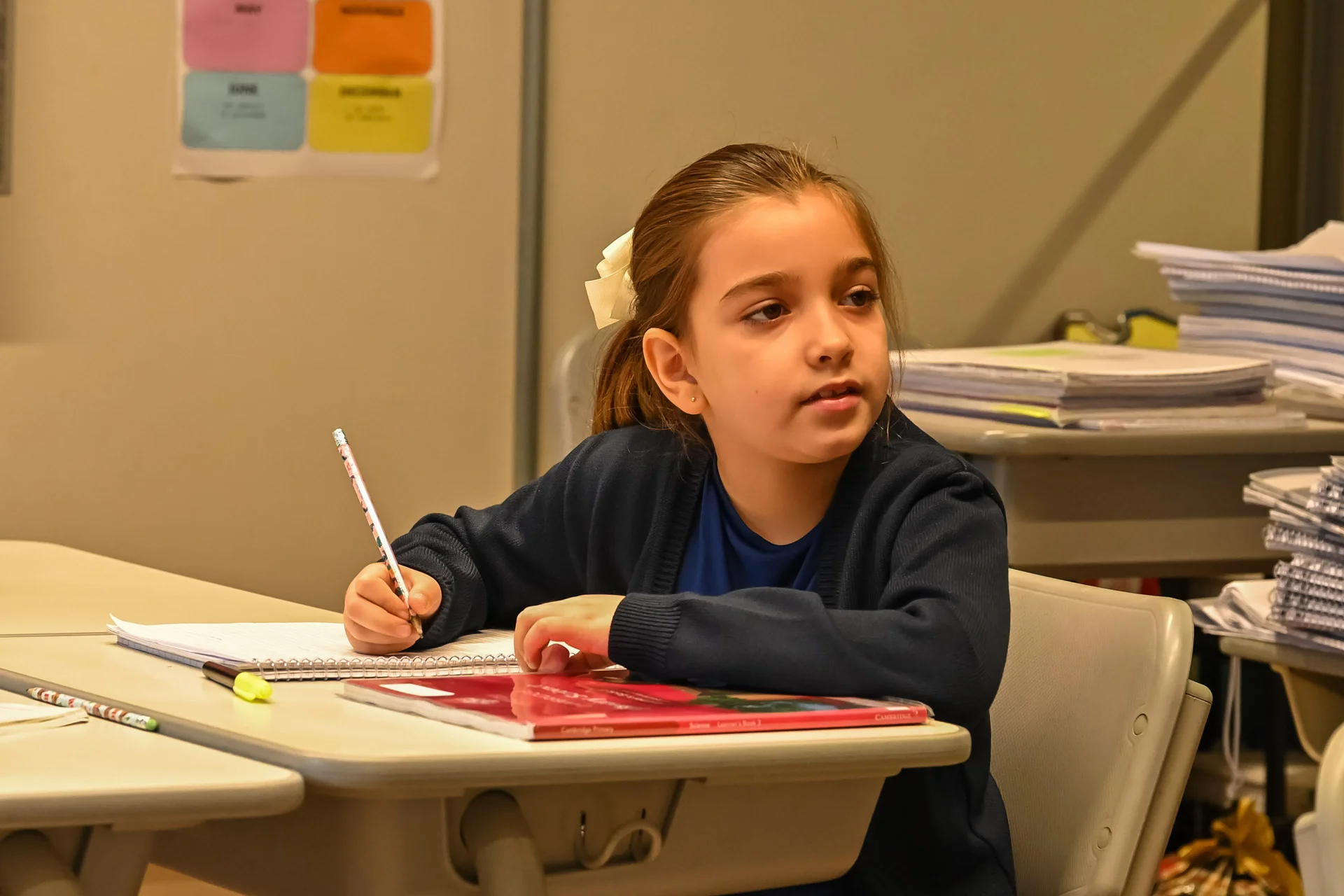 Ensino Fundamental I