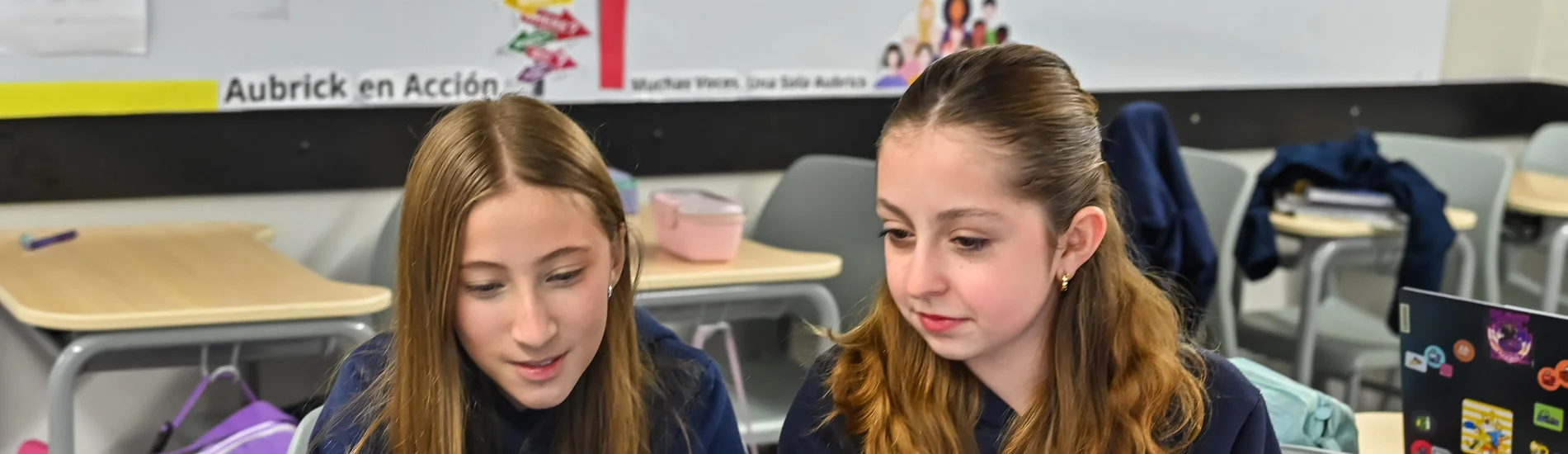 Avaliações da escola