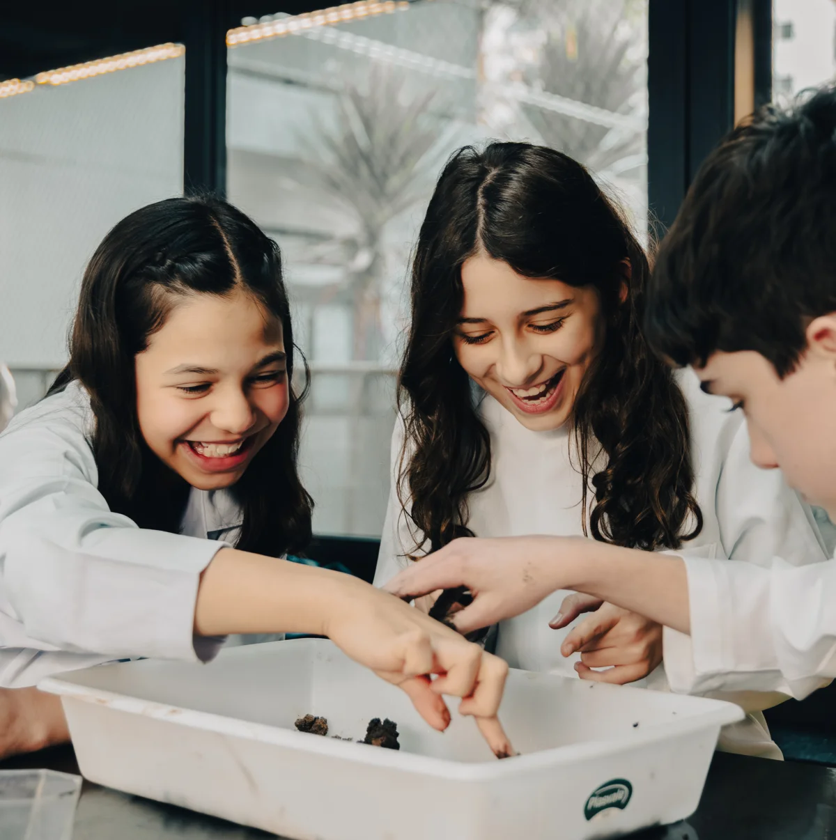 Ensino Fundamental II